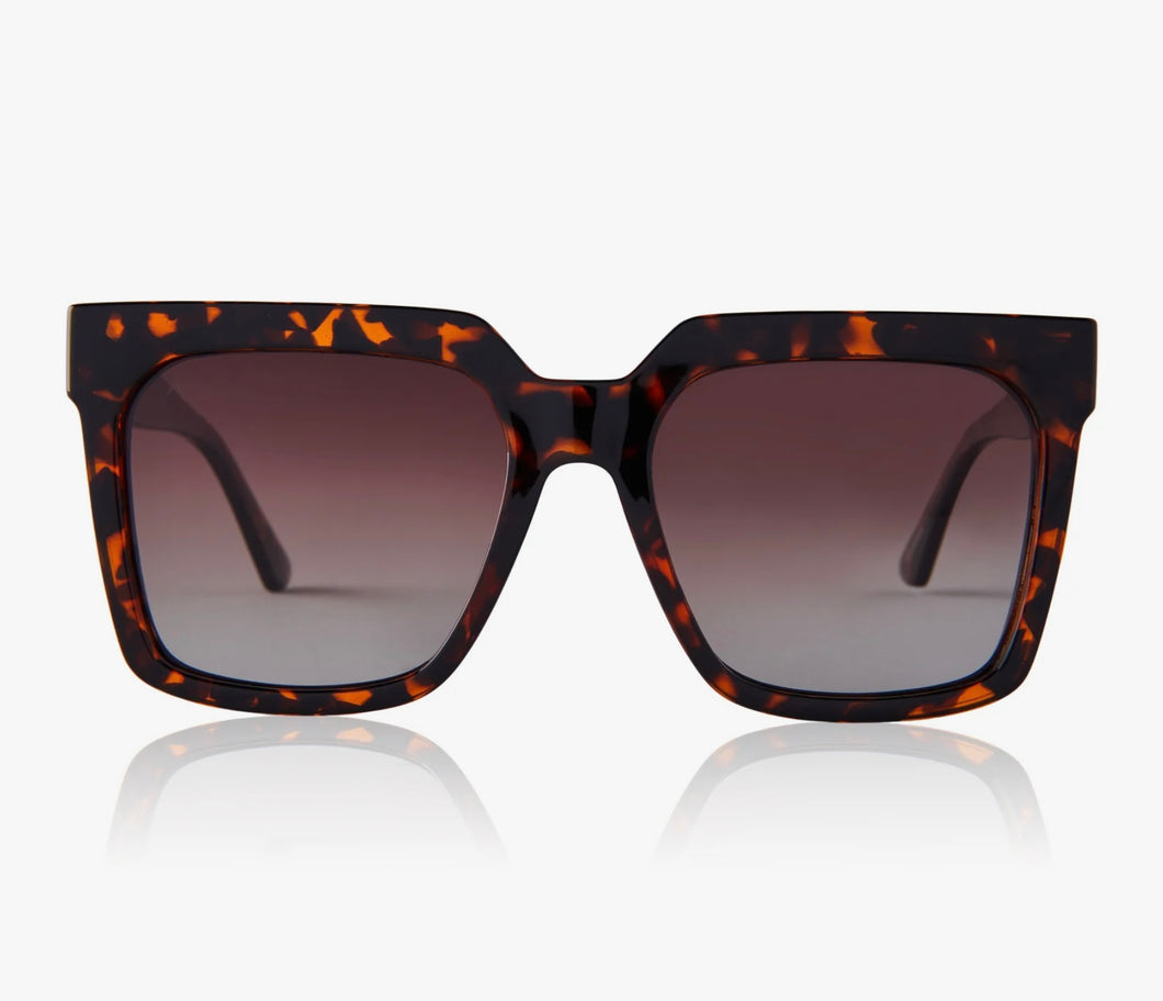 Topanga Sunglasses - Tortoise Brown